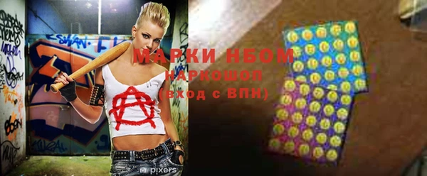 прущие грибы Алзамай