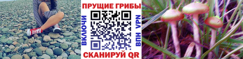 Галлюциногенные грибы MAGIC MUSHROOMS  купить  сайты  Шиханы 